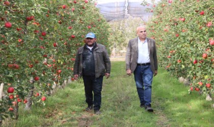 Elmanın büyükşehirlerde 4 katı fazla fiyata satılması üreticisini de rahatsız ediyor