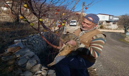 Emekli asker yaban hayvanları için doğaya yem bırakıyor