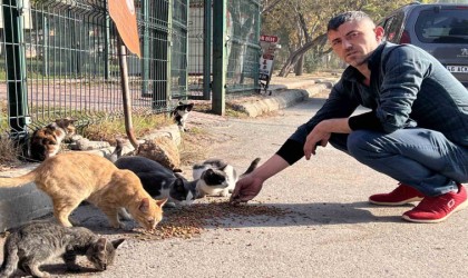 ‘Enkaz isimli kedileri enkaz bölgesinde besliyor