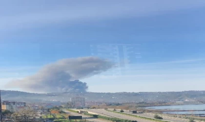 Giresun’da fabrikada yangın