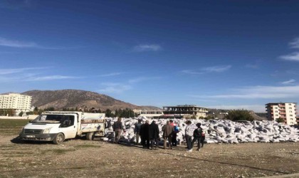 Kozlukta ihtiyaç sahiplerine kömür dağıtımına başlandı