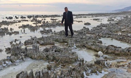 Kuraklık Van Gölü sahilini mikrobiyalit tarlasına dönüştürdü