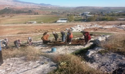 Perre Antik Kent’teki kazılarda 15 kadın görev alıyor