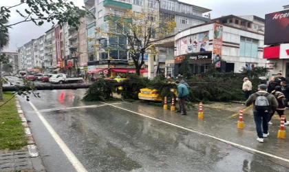 Rize’de fırtına; sac uçtu, ağaç taksinin üzerine devrildi