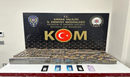 Şırnakta terör ve kaçakçılık operasyonu: 82 kişi hakkında adli işlem yapıldı