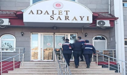 Tır şoförüne çarpıp kaçan sürücü tutuklandı