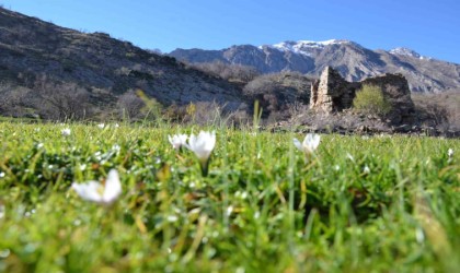 Yüksek kesimlerde kar yağarken, alçak bölgelerde ise çiçek açtı