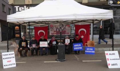 Acılı anne: “Yeni yıla girdik ama ciğerimiz yanık, evlatlarımız yok”