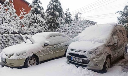 Ahlatta yoğun kar yağışı