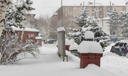 Ardahanda kar kalınlığı 40 santimetreyi buldu, 207 köy yolu ulaşıma kapandı