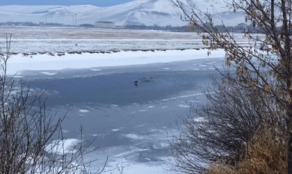 Ardahan’da Kura Nehri’nin yüzeyi buz tuttu