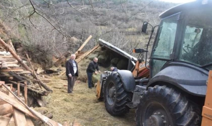 Artvin’de heyelan; ahır çöktü 2 büyükbaş öldü