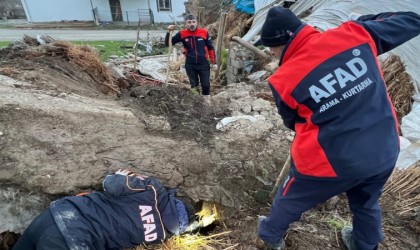 Batmanda ahır çöktü: 8 yavru köpekten 5i kurtarıldı