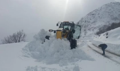 Bingöl’de 91 köy yolu kardan kapandı