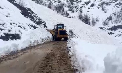 Çığ nedeniyle kapanan Yüksekova-Şemdinli kara yolu açıldı