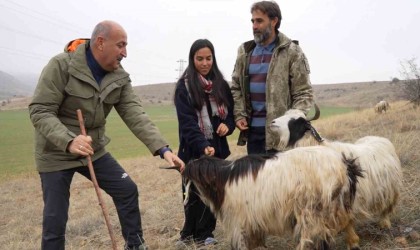 Çobanlık yapan iki üniversite mezunu Eminenin hayali yeni yılda gerçek oldu