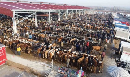 Çorumda hayvan pazarı geçici olarak kapatıldı