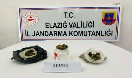 Elazığda uyuşturucuyla mücadele: 1 gözaltı