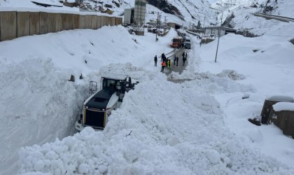 Hakkari-Çukurca Karayoluna düşen çığ temizlendi