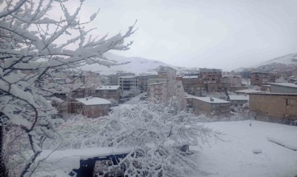 Hakkari kar hapsinde: Okullar tatil edildi, 284 yerleşim yerinin yolu kapandı