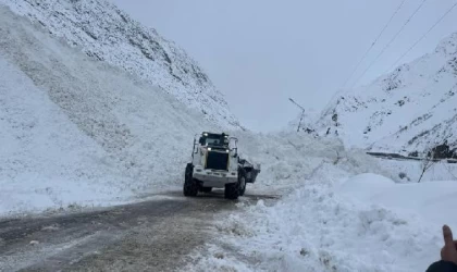 Hakkari’de 355 köy ve mezra yolu ulaşıma kapandı, kara yoluna çığ düştü