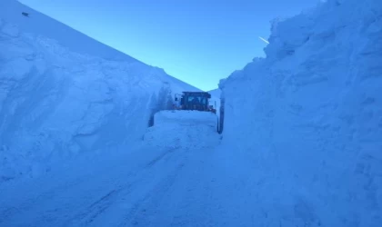 Hakkari’de 5 metre karla zorlu mücadele