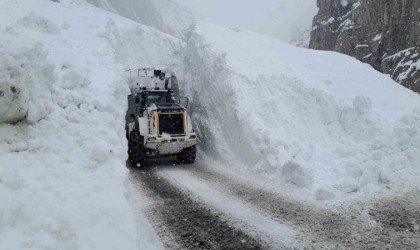 Hakkaride çığ bölgesindeki çalışmalarda 10 metre yüksekten düşen ekip şefi yaralandı