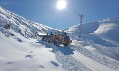 Hakkari’de kardan kapanan yollar ulaşıma açıldı