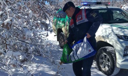 Jandarma ekipleri yaban hayvanları için yem bıraktı