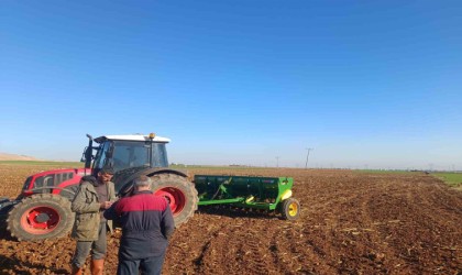 Mardin Ovasında buğday ekimi başladı