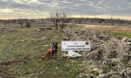 Mardin’de yola tuzaklanan EYP imha edildi