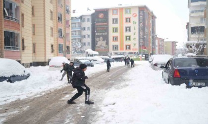 Muşta kar yağışı hayatı olumsuz etkiledi