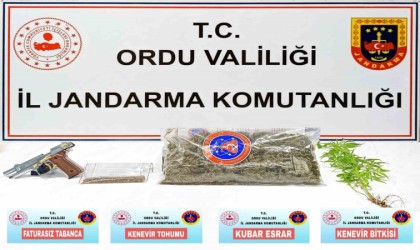 Orduda uyuşturucu operasyonu: 1 gözaltı