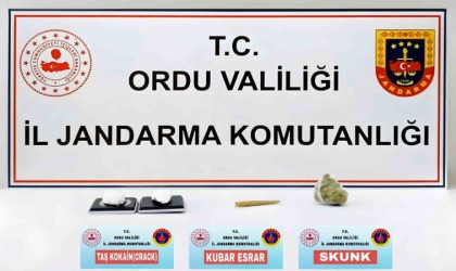 Orduda uyuşturucu operasyonu: 1 tutuklama