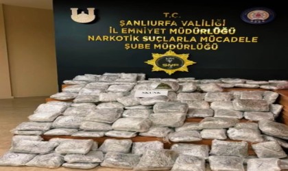 Şanlıurfada 85 kilogram skunk ele geçirildi