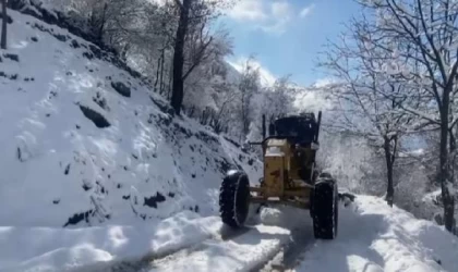 Sason’da 43 yerleşim yerinin yolu kardan kapandı