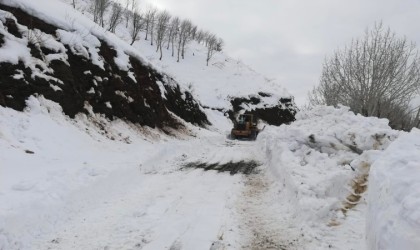 Sasonda kar kaplı yollar 3 gün sonra ulaşıma açıldı