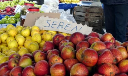 Seben elmasının üretimi 19 yılda yüzde 52 düştü