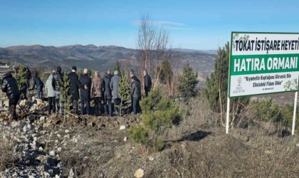 Soğuk havaya aldırmayan Tokatlılar fidan dikmek için birbirleriyle yarıştı