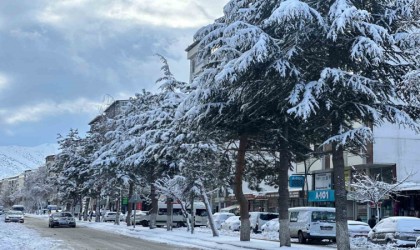 Tatvanda araçlar kara gömüldü