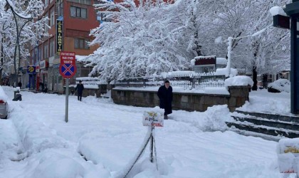 Tatvanda kar yağışı