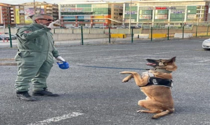 Tekirdağ’ın narkotik köpeği Larissa öldü