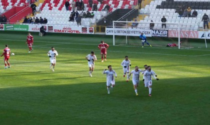 TFF 2. Lig: 24Erzincanspor: 2 - Somaspor: 0