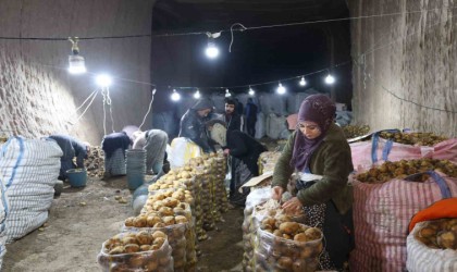 Türkiyenin patates ihtiyacı Kapadokyadaki depolardan karşılanıyor