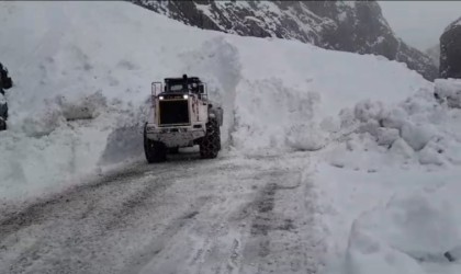 Yüksekovada düşen çığ nedeniyle kapanan yol ulaşıma açıldı