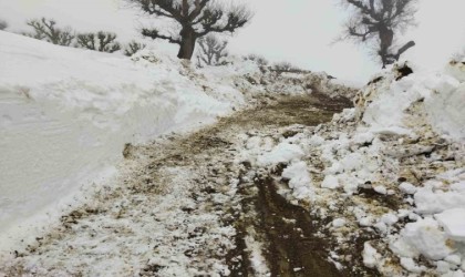 Batmanda kar nedeniyle kapalı 227 yol ulaşıma açıldı