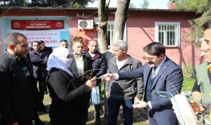 Beşiride çiftçilere ücretsiz 12 bin adet badem ve fıstık fidanı dağıtıldı