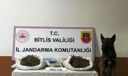 Bitliste 10 kilo 200 gram skunk maddesi ele geçirildi