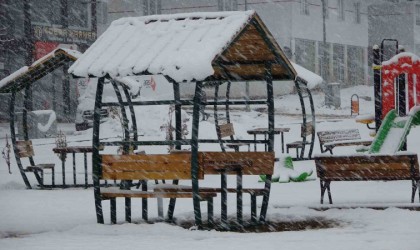 Bitliste kar yağışı: 33 yol ulaşıma kapandı