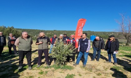 Çanakkalede Zeytin Yetiştiricilerine eğitim verildi